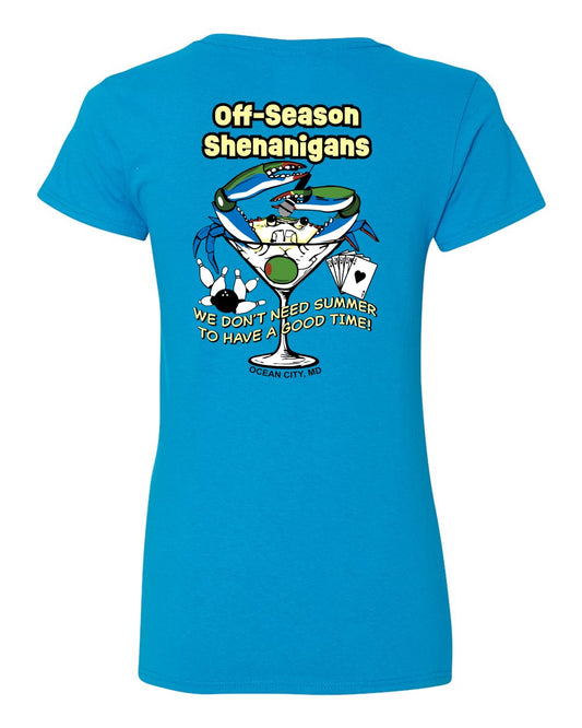 Gildan Women's V-neck T-Shirt